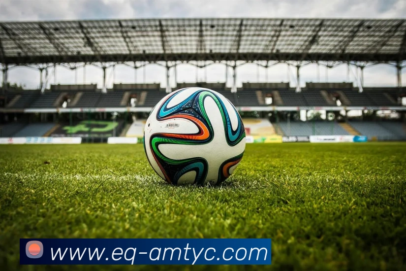 多媒体互动体验