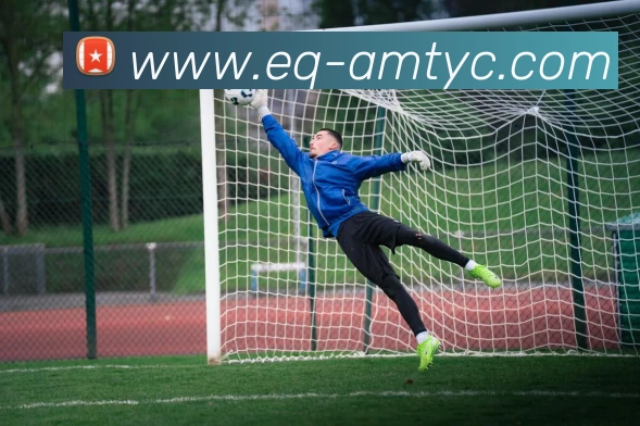 澳门太阳城APP 体育赛事宣传图